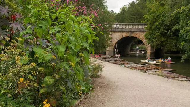 Riverbank at the Botanic Gardens
