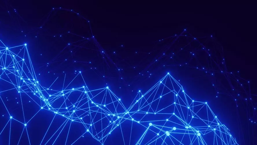 conny schneider xutjz7ud7pi unsplash