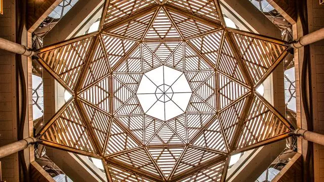 Schwarzman Centre interior roof